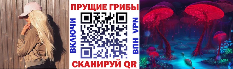Псилоцибиновые грибы мицелий  Купить  Алупка 